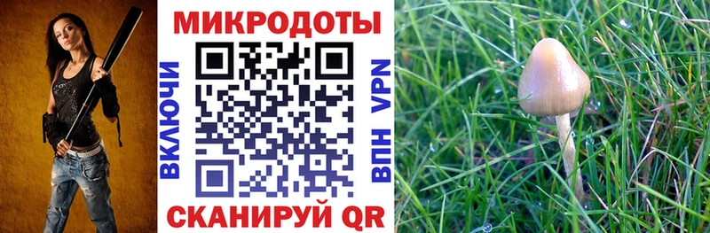 купить наркотик  hydra   Псилоцибиновые грибы ЛСД  Ельня 