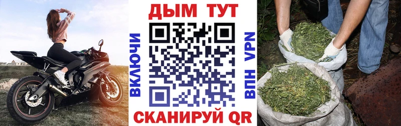 Конопля SATIVA & INDICA  omg как зайти  Ельня 